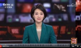 央视爆料孟阳视频全集,孟阳视频全集深度剖析