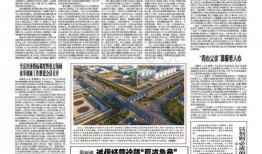 金乡新闻爆料,揭秘当地热点事件背后的真相